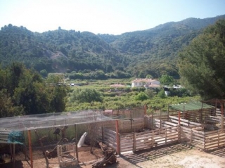 la granja y el huerto